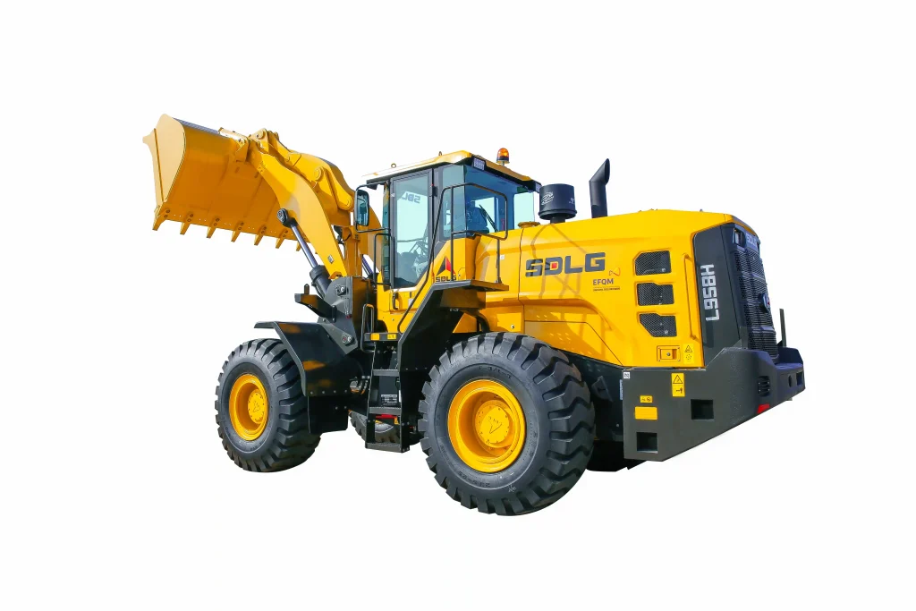 L958H (Stage V)