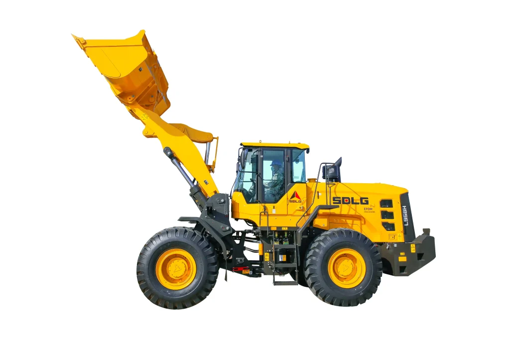 L958H (Stage V)