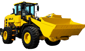 L948H (Stage V)