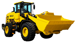 L948H (Stage V)