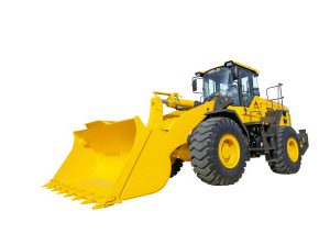 L958H (Stage V)